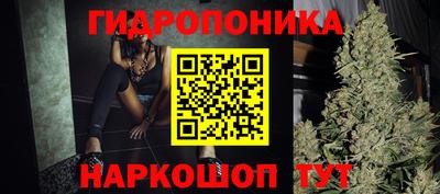 PSILOCYBIN Гагарин
