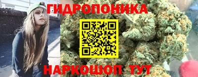 PSILOCYBIN Гагарин
